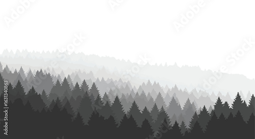 Forest of evergreen trees receding into the foggy distance, for designs background