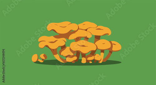 Orange mushrooms growing on green background; illustration for educational content