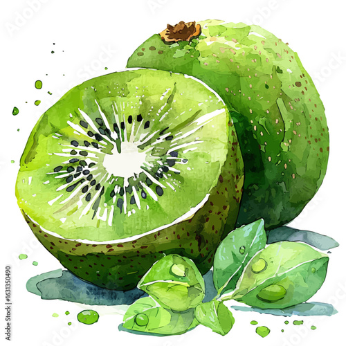Kiwi, watercolor painting vector, isolated on a white background.