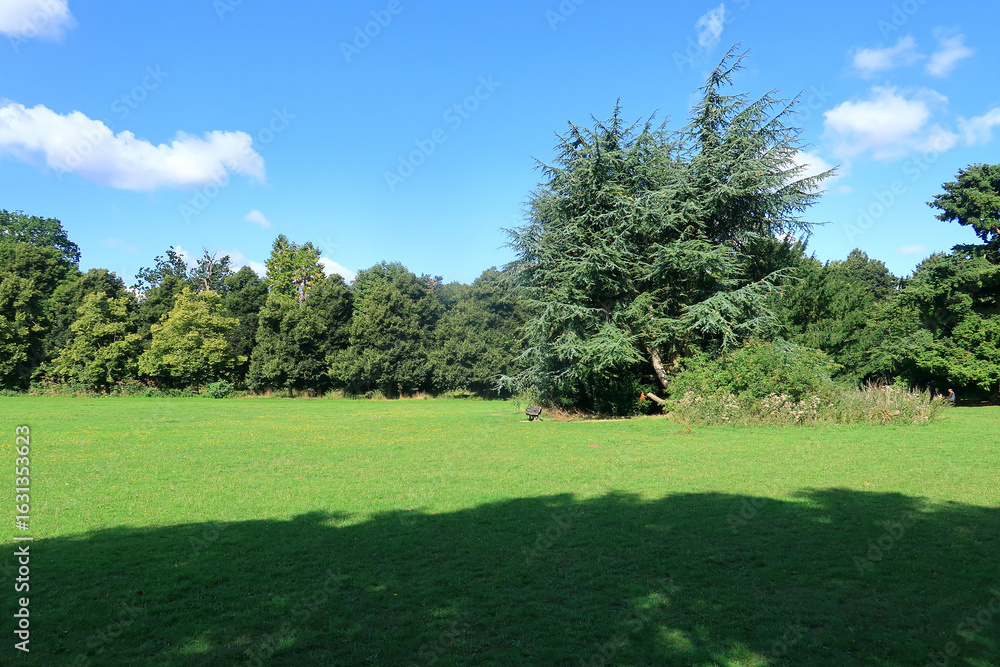 Naklejka premium Woodland landscape at Camer park in the North Kent countryside