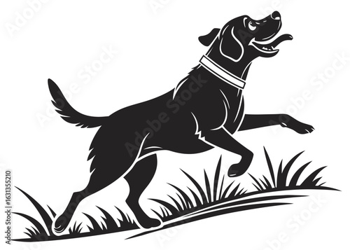 A black labrador retriever running happily through a field of tall grass with its tongue out and collar on created with generated ai