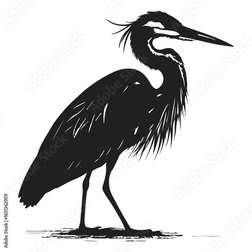 Silhouette of a heron standing gracefully, isolated on white background, showcasing its long beak and elegant feathers