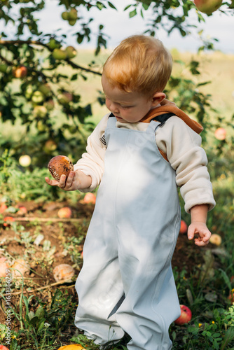 A small red-haired boy in a gray-blue jumpsuit and yellow boots holds a rotten apple in his hands and looks at it with interest