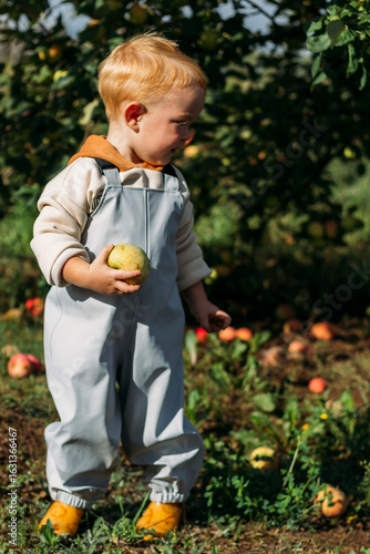A small red-haired boy in a gray-blue jumpsuit and yellow boots holds an apple in his hands under an apple tree