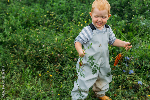 A little boy in a gray-blue jumpsuit and bright yellow boots holds a red carrot by the tops. Harvesting in your own garden