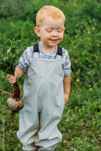 A red-haired boy in a gray jumpsuit smiles and holds a freshly pulled beetroot in his hand. Growing homemade vegetables in an organic garden. Harvesting in the backyard