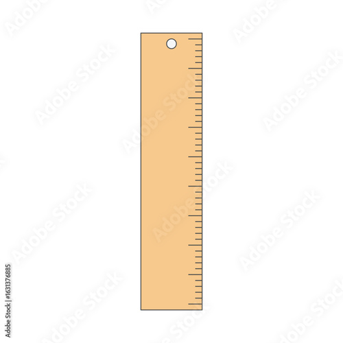 ruler vector illustration