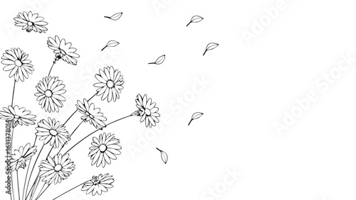 Sketch of daisies with stems and leaves blowing in the wind on a white background in black and white
