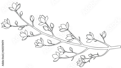 Illustration of a flowering branch with open blossoms and buds in a black outline style drawing art