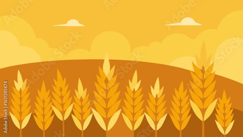 wheat field golden afternoon sun farm grain sky