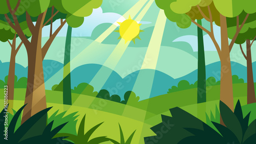 sunny jungle light canopy forest nature tropical sun