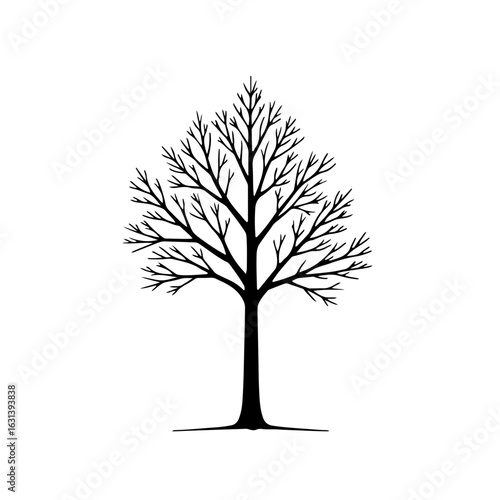 Leafless Tree Line Art – Minimal Outline Illustration