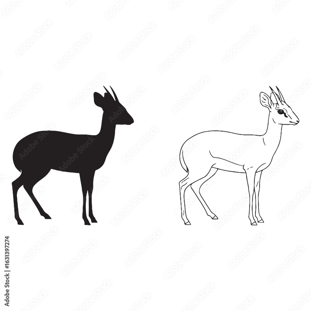 Obraz premium A Dik-dik Pair - African Native - Slender Legs - Dik-dik silhouette - Dik-dik lineart - Dik-dik vector - vector set of Dik-dik