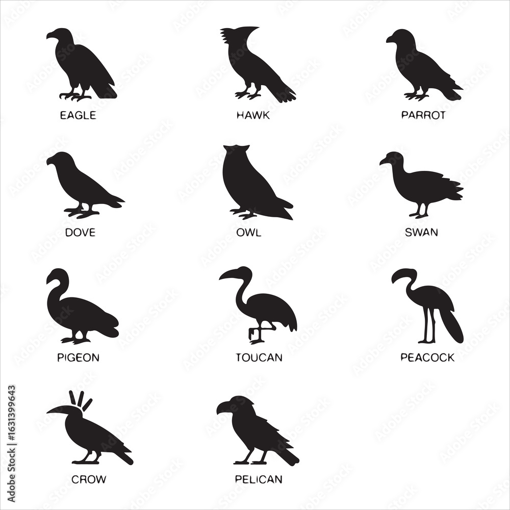 Obraz premium set of silhouettes of birds