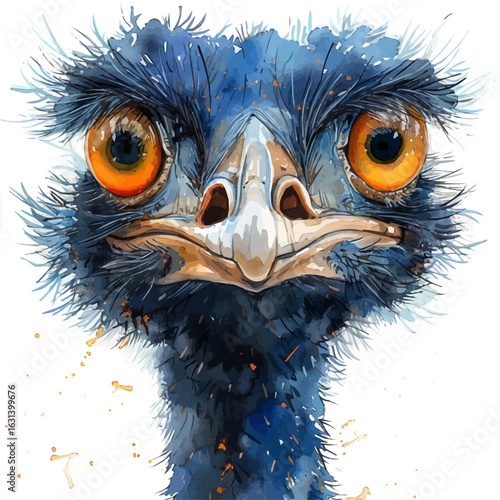 Emu, watercolor vector, isolated on a white background.