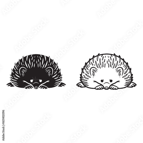 Echidna Visual - Unique Critter - Stealthy Forager - Echidna silhouette - Echidna lineart - Echidna vector - vector set of Echidna

