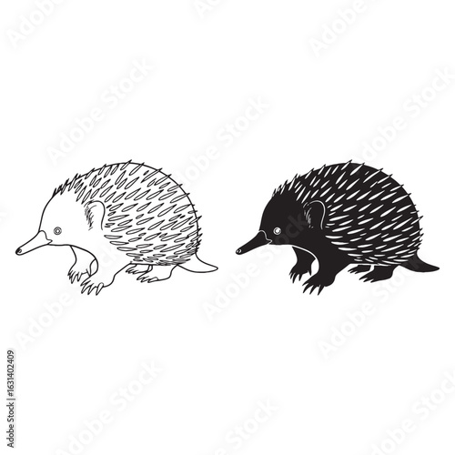An Echidna Art Duo - Bushland Essence - Light Frame - Echidna silhouette - Echidna lineart - Echidna vector - vector set of Echidna


