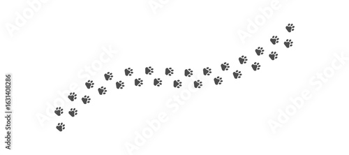 Paw print of a dog or cat. Footprint pet. Black lines animal prints isolated on white background. 