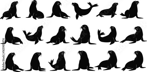 Seal animal silhouettes in motion, various aquatic poses, swimming sitting laying marine mammals, black outline collection, minimal wildlife art