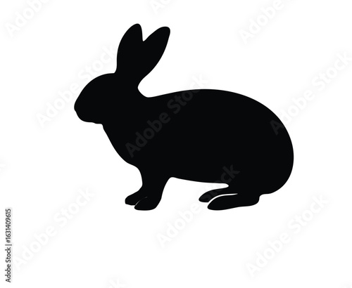 a rabbit silhouette