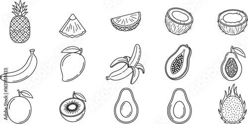 Illustration of various tropical fruits, including pineapple, mango, coconut, banana, papaya, avocado, kiwi, and dragon fruit