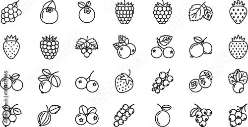 A wide variety of berries, including grape, blueberry, strawberry, raspberry, blackberry, gooseberry, currant, and cherry