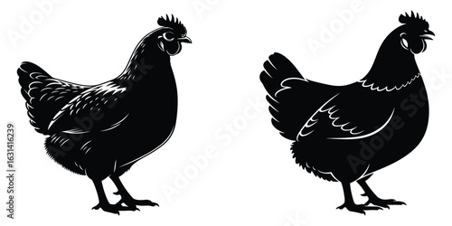 Black Chicken Silhouettes, Poultry Farm Animals, Vector Illustration, Farm Bird Icons, Isolated White Background, Agricultural Animal Symbols, Bird Silhouette Set