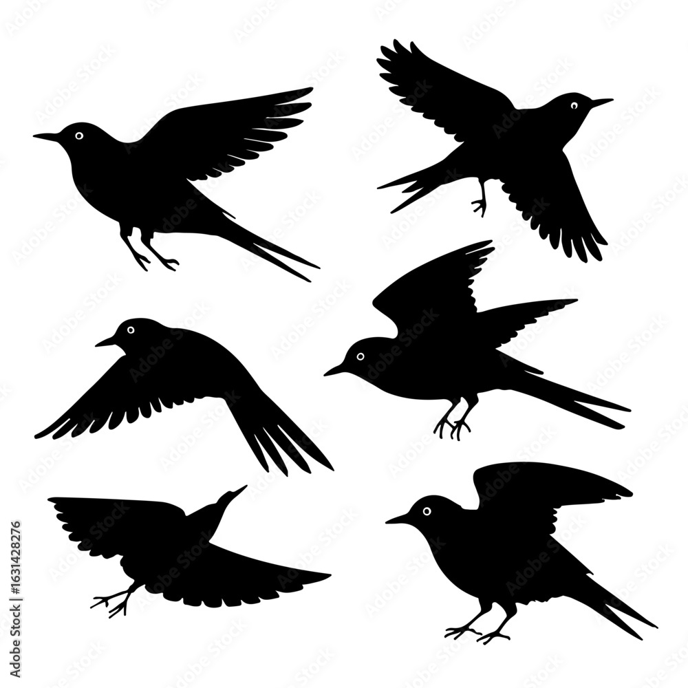 Fototapeta premium Collection of bird silhouettes flying in various poses