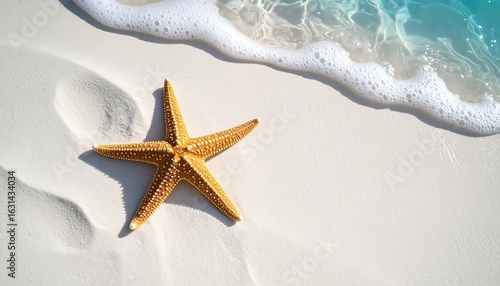Starfish on White Sand Beach with Ocean Waves in Bright Sunlight