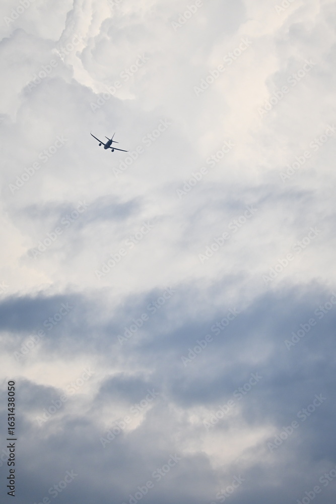 Fototapeta premium 夏空と飛行機