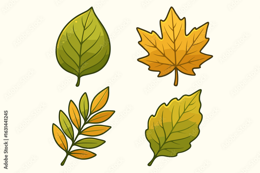 Fototapeta premium Vector leaves collection. Set of four cartoon leaf objects. Green and yellow autumn foliage. Natural plant design elements for graphics. Isolated illustration icons.