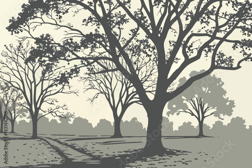 A pecan grove in south Alabama with tall trees casting long shadows on the leaf-strewn ground.