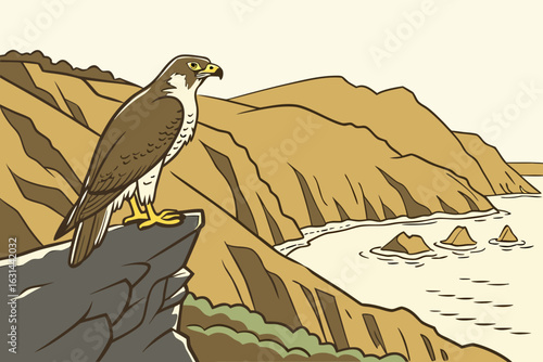 A peregrine falcon perches on a ledge in the Marin Headlands, California, eyeing the coastline from a craggy vantage point.