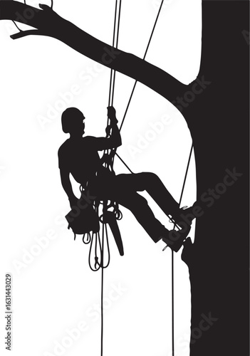 Print Vector art of silhouette of an arborist climbing a tree with safety equipment and ropes