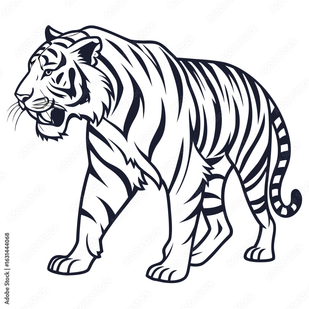 Fototapeta premium Tiger on white background 