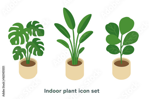 Isometric flat indoor potted plant icons featuring tropical monstera deliciosa, bird of paradise strelitzia, fiddle leaf fig ficus lyrata, botanical clipart for web UI vector