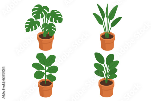 Indoor potted plant set, isometric houseplant icons, flat vector tropical foliage plants Monstera deliciosa, bird of paradise, fiddle leaf fig, decorative greenery illustration for interiors