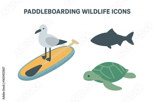 Paddleboarding wildlife watching icons, flat isometric vector set with seagull on paddleboard, sea turtle swimming, fish silhouette, marine animal spotting concept, transparent background illustration
