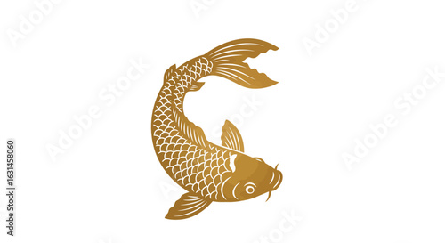 Slender golden koi fish swim in circular motion.