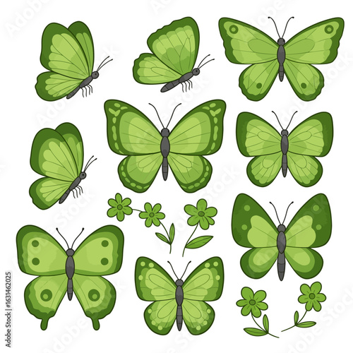 Green butterflies and flowers arrangement vector illustration for spring and summer themed designs
