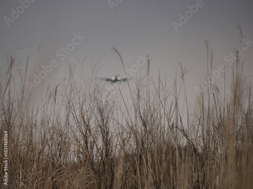 近づいてくる飛行機