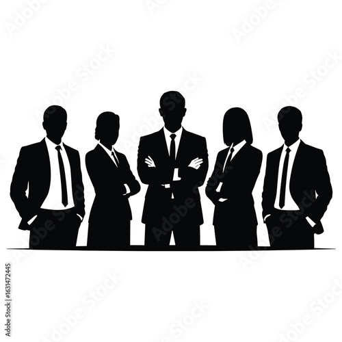 Diverse business team standing together in silhouette