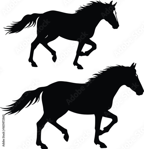 Pair of Trotting Horse Silhouettes Vector: Black Equine Illustrations with Detail on One Horse – Dynamic Monochrome Graphic Design for Equestrian Sport, Power, Freedom, Movement.