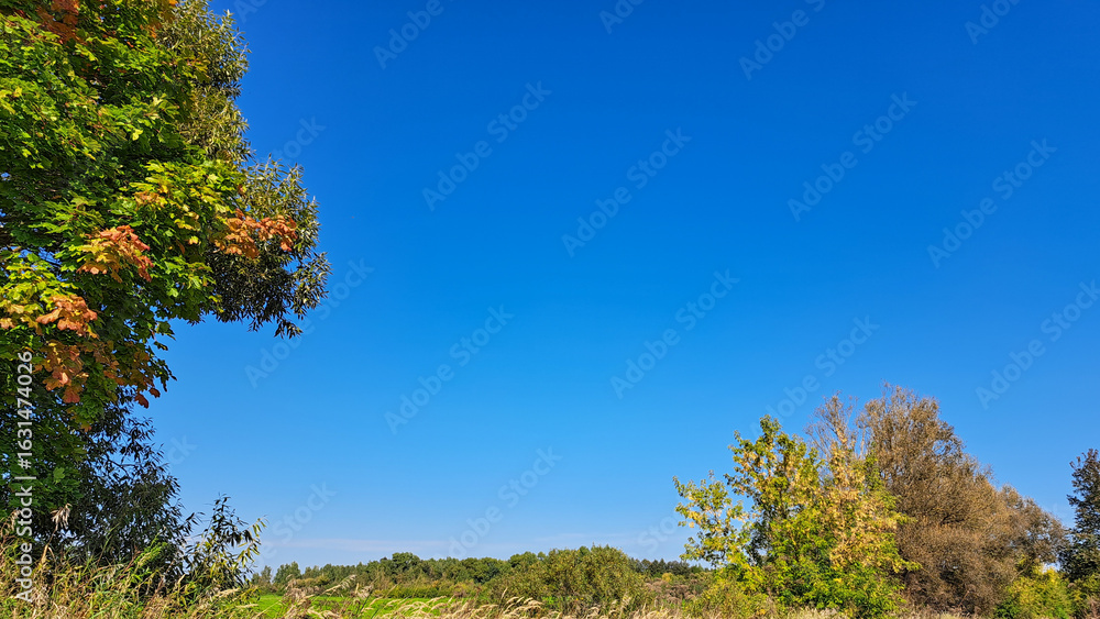 Obraz premium Vibrant landscape featuring lush green trees and a clear blue sky, showcasing the beauty of nature in a serene outdoor environment with a peaceful atmosphere