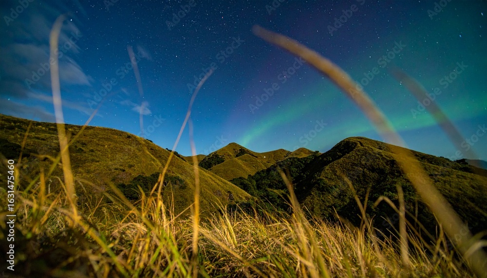 Obraz premium Aurora Over Golden Fields in Late Summer