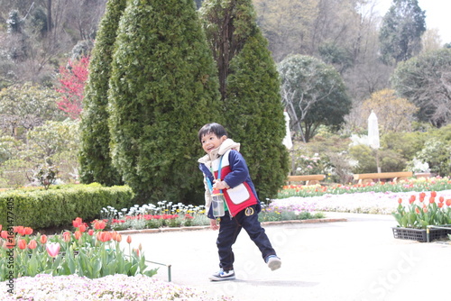 Boy with Tulips and sakura