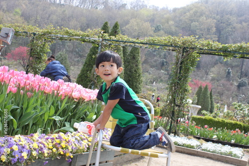 Boy with Tulips and sakura