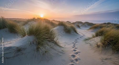 Serene sunset illuminates sandy dunes, beach grass, and footprints path to the sea.