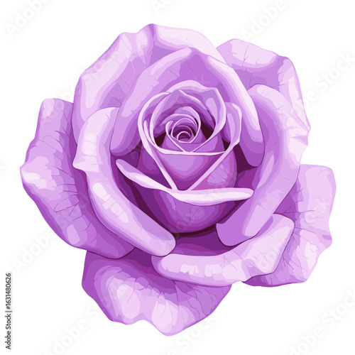 Detailed vector illustration of a lavender rose with intricate petal layering and soft color gradients, creating a romantic floral design