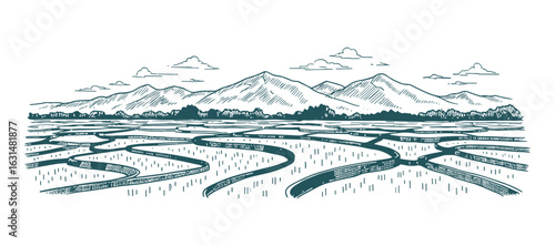 Rice Terraces with Mountain Backdrop Hand Drawn Sketch Vector Illustration